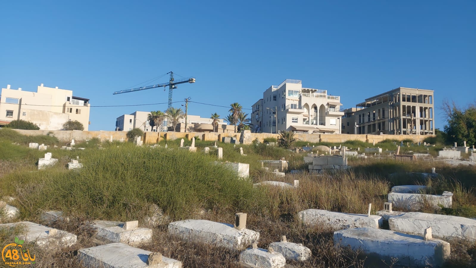 WhatsApp Image 2020-08-17 at 7.30.14 PM (2).jpeg.jpg.jpg